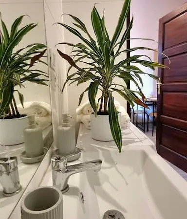 Cosy Mini Apartment- Centre דירה קטוביץ